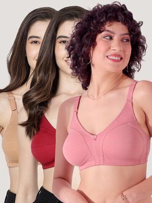 Anaya Full Coverage M Frame Minimizer Bra | Pack of 3-ONION MAROON CAMEL
