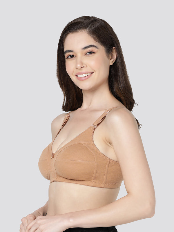 Anaya Full Coverage M Frame Minimizer Bra | Pack of 3-ONION MAROON CAMEL