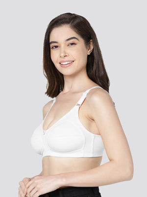 Anaya Full Coverage M Frame Minimizer Bra | Pack of 3-ONION CAMEL WHITE