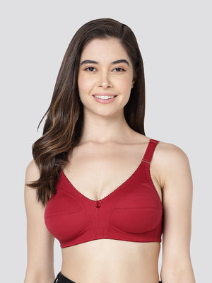 Anaya Full Coverage M Frame Minimizer Bra | Pack of 3-ONION MAROON CAMEL