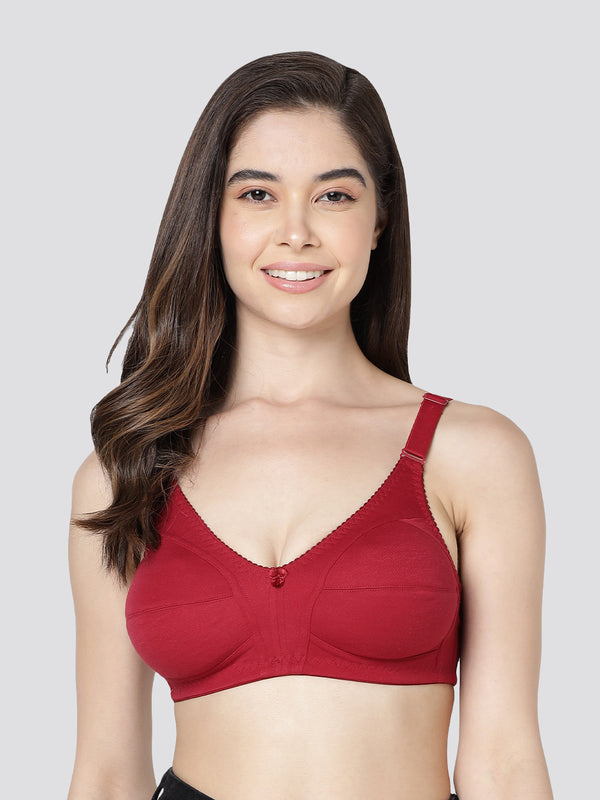 Anaya Full Coverage M Frame Minimizer Bra | Pack of 3-ONION MAROON CAMEL