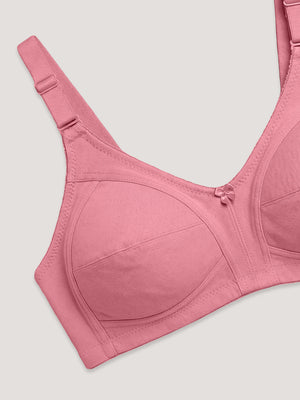 Anaya Full Coverage M Frame Minimizer Bra | Pack of 3-ONION CAMEL WHITE