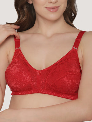 Alvina Non Padded Wirefree Embroidered Lace Bra-RED