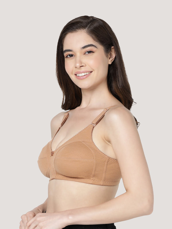 Anaya Full Coverage M Frame Minimizer Bra | Pack of 3-CAMEL BLACK MAROON