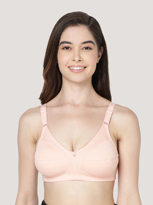 Anaya Full Coverage M Frame Minimizer Bra | Pack of 3-CAMEL MAROON PEACH