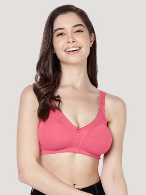 Anaya Full Coverage M Frame Minimizer Bra | Pack of 3-GREY WHITE CAMEL