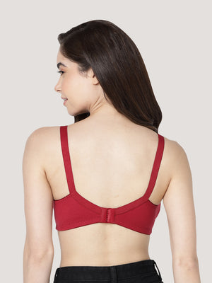 Anaya Full Coverage M Frame Minimizer Bra | Pack of 3-CAMEL BLACK MAROON