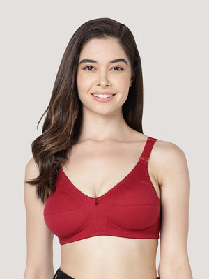 Anaya Full Coverage M Frame Minimizer Bra | Pack of 3-CAMEL BLACK MAROON