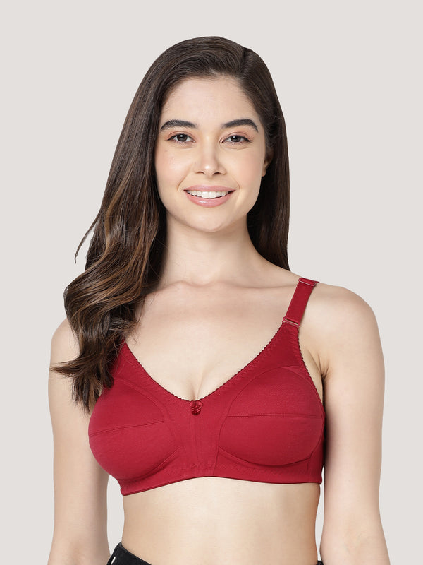 Anaya Full Coverage M Frame Minimizer Bra | Pack of 3-WHITE MAROON BLACK