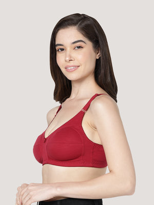 Anaya Full Coverage M Frame Minimizer Bra | Pack of 3-CAMEL BLACK MAROON