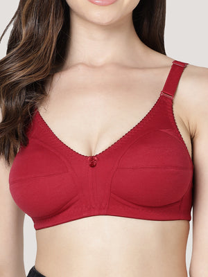 Anaya Full Coverage M Frame Minimizer Bra | Pack of 2-WHITE MAROON