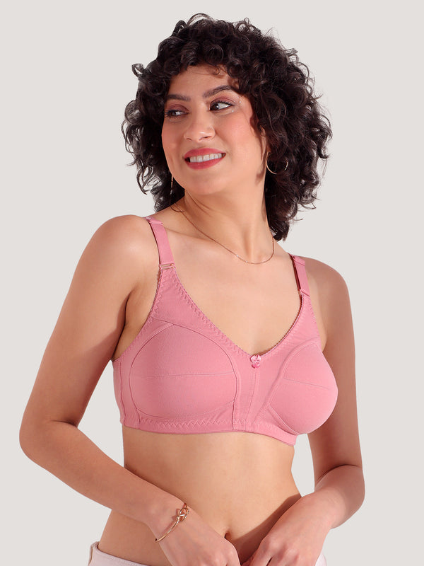 Anaya Full Coverage M Frame Minimizer Bra | Pack of 3-ONION GREY WHITE