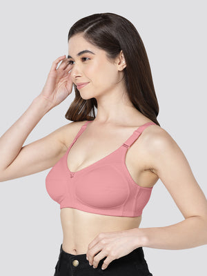 Anaya Full Coverage M Frame Minimizer Bra | Pack of 3-ONION GREY WHITE