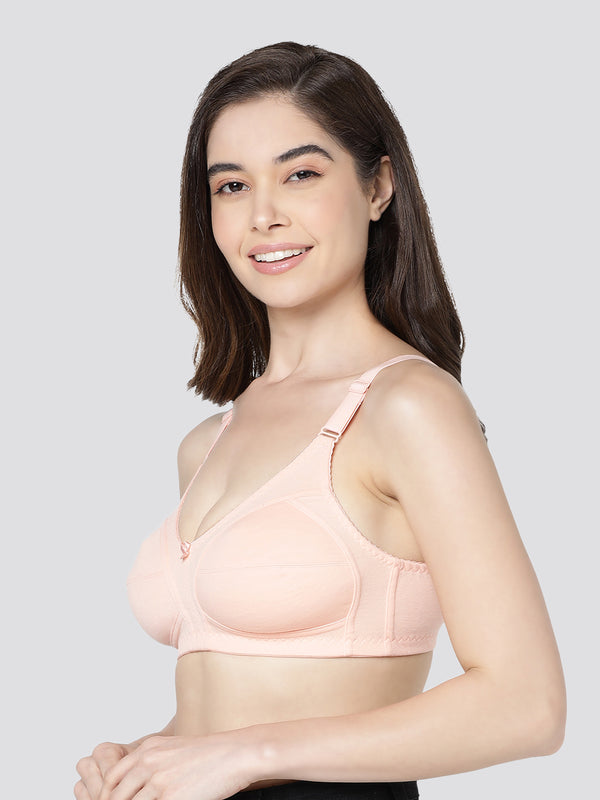 Anaya Full Coverage M Frame Minimizer Bra | Pack of 3-GREY PEACH MAROON