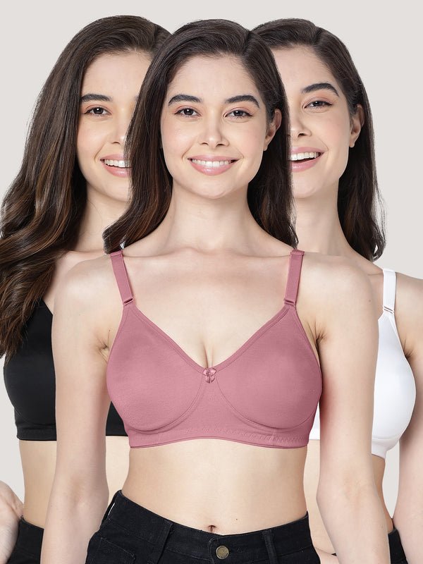 Evlyn Double Layered Cups Regular Bra | Pack of 3-BLACK ONION WHITE