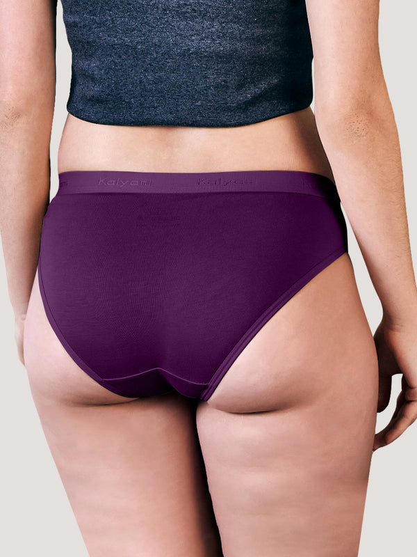 Sensa Low Waist Bikini Panties | Pack of 3-ASH ONION BURGUNDY