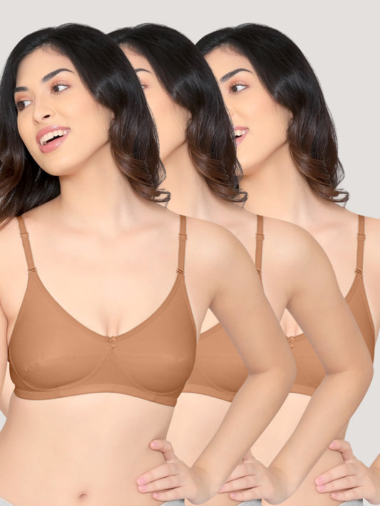 Wamika Fuller Cups Everyday Bra | Pack of 3-CAMEL CAMEL CAMEL