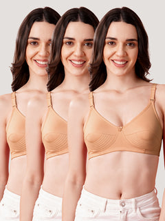 Pranika Non Padded Seamed Everyday Bra | Pack of 3-CAMEL CAMEL CAMEL