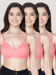 Evlyn Double Layered Cups Regular Bra | Pack of 3 | CORAL CORAL CORAL