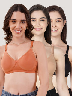 Evlyn Double Layered Cups Regular Bra | Pack of 3 | D.PEACH CAMEL BLACK