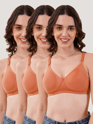 Evlyn Double Layered Cups Regular Bra | Pack of 3 | D.PEACH D.PEACH D.PEACH