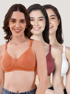 Evlyn Double Layered Cups Regular Bra | Pack of 3 | D.PEACH WHITE WINE