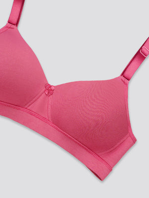 Tessa Full Support Seamless Designer Bra for Women Pack of 2-L.GREY D.RUST