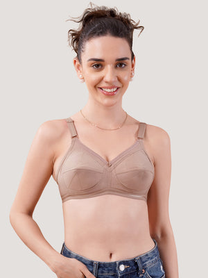 Damini Full Coverage Cotton Everyday Bra | Pack of 3-FAWN ONION BLACK