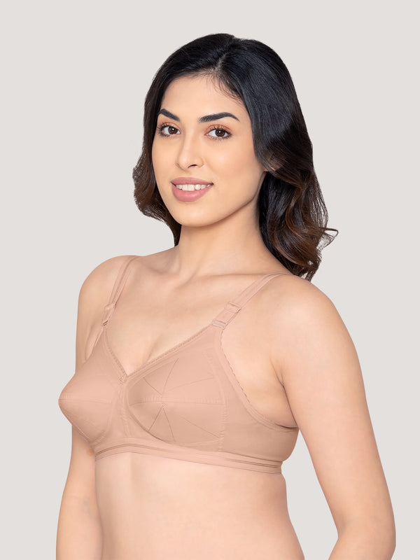 Damini Full Coverage Cotton Everyday Bra | Pack of 3-BLACK FAWN WHITE