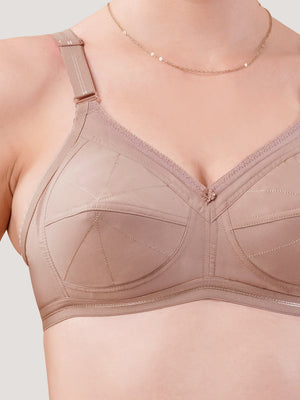 Damini Full Coverage Cotton Everyday Bra | Pack of 3-FAWN FAWN FAWN