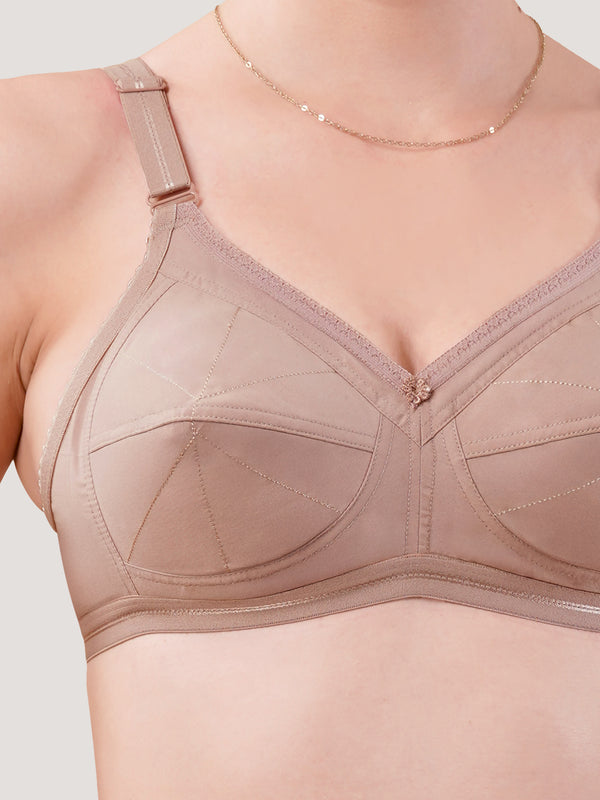 Damini Full Coverage Cotton Everyday Bra | Pack of 3-FAWN FAWN FAWN