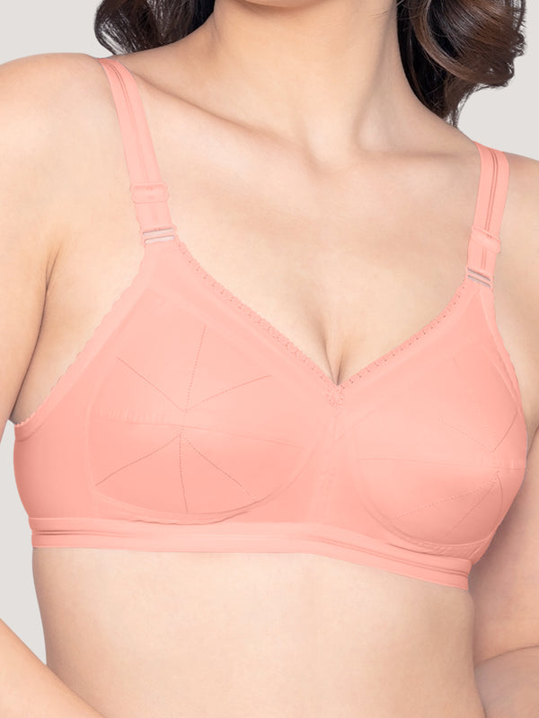 Damini Full Coverage Cotton Everyday Bra | Pack of 3-WHITE BLACK L.PEACH