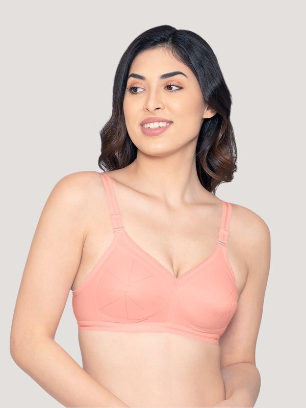 Damini Full Coverage Cotton Everyday Bra | Pack of 3-WHITE BLACK L.PEACH