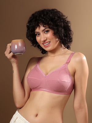 Damini Full Coverage Cotton Everyday Bra | Pack of 3-FAWN ONION BLACK