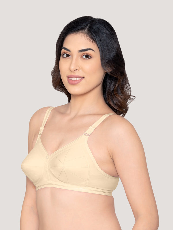 Damini Full Coverage Cotton Everyday Bra | Pack of 3-BLACK SKIN WHITE