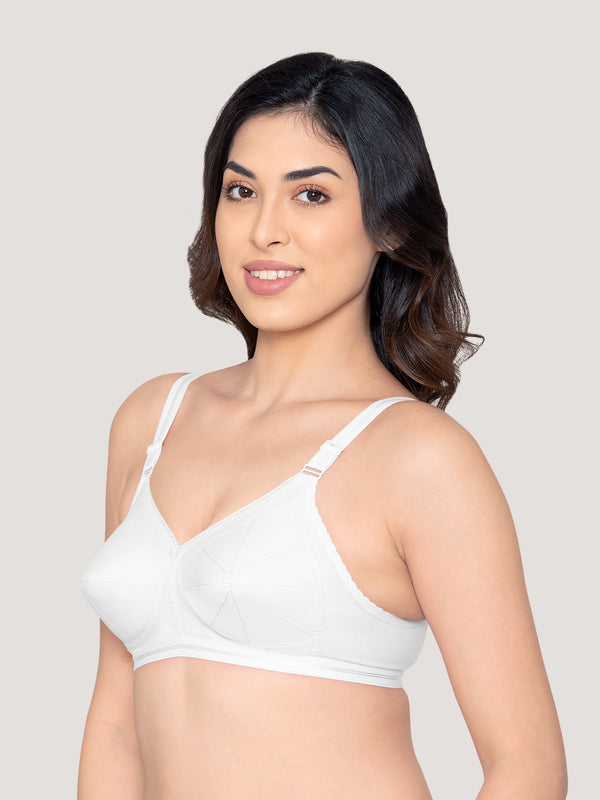 Damini Full Coverage Cotton Everyday Bra | Pack of 3-BLACK FAWN WHITE