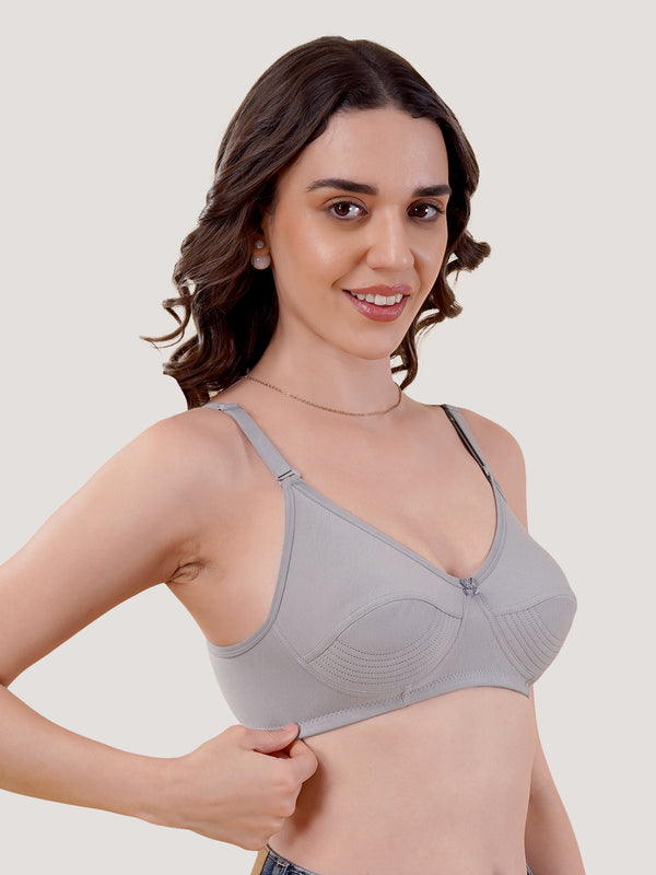 Pranika Non Padded Seamed Everyday Bra | Pack of 3 GREY CAMEL ROSE