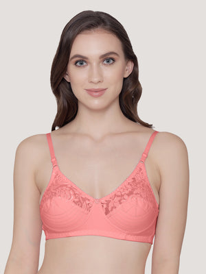 Deepali Non Padded Everyday Lace Bra | Pack of 3-MAROON ROSE SKY BLUE