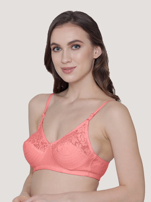 Deepali Non Padded Everyday Lace Bra | Pack of 3-MAROON ROSE SKY BLUE