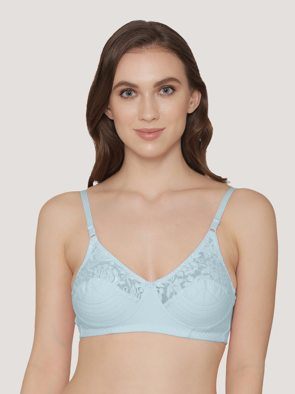 Deepali Non Padded Everyday Lace Bra | Pack of 3-MAROON ROSE SKY BLUE