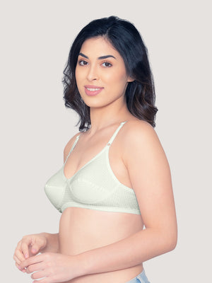 Elin Non Padded Dot Printed Cotton Everyday Bra | Pack of 3-LEMON LEMON LEMON