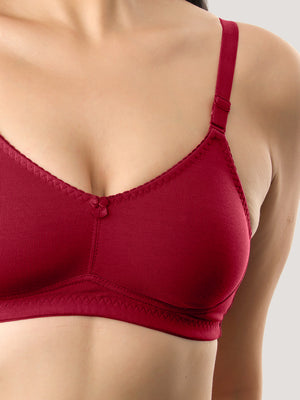 Kalyani's Emma Double Layered Seamless Cups Full Coverage Cotton Bras | Pack of 2 | MAROON MAROON
