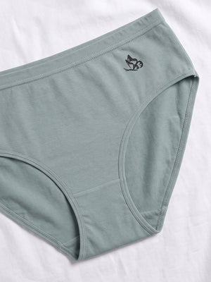 Eve 100% Cotton Mid-Waist Hipster Panties for Women | Pack of 3-OCEAN GREEN L.WINE ORANGE RUST
