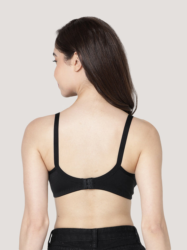 Evlyn Double Layered Cups Regular Bra | Pack of 3-BLACK BLACK BLACK