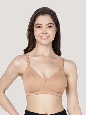 Evlyn Double Layered Cups Regular Bra | Pack of 3-CAMEL CAMEL CAMEL