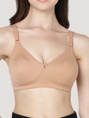 Evlyn Double Layered Cups Regular Bra | Pack of 3-CAMEL CAMEL CAMEL