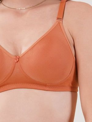 Evlyn Double Layered Cups Regular Bra | Pack of 3 | D.PEACH D.PEACH D.PEACH