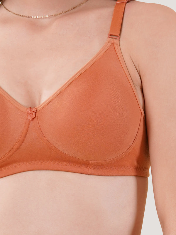 Evlyn Double Layered Cups Regular Bra | Pack of 3 | D.PEACH D.PEACH D.PEACH