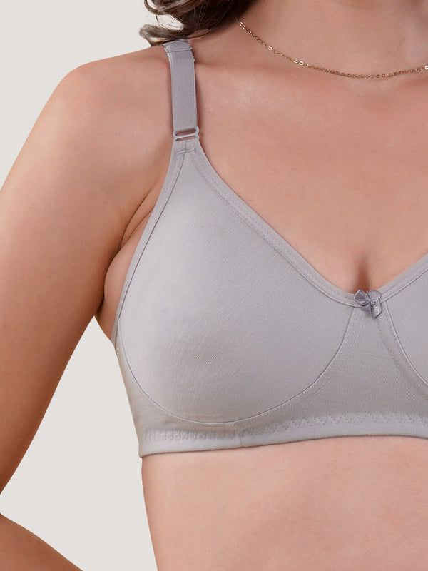Evlyn Double Layered Cups Regular Bra | Pack of 3 | GREY GREY GREY