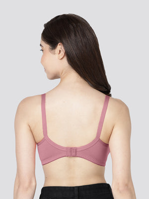 Evlyn Double Layered Cups Regular Bra | Pack of 3 | GREY ONION WHITE